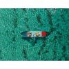 paddleboard wattsup first 12 rodinny