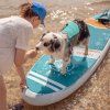 kryci podlozka pro psy moai deckpad limited style dog